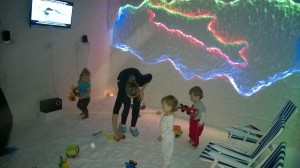WP_20151229_009 