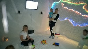 WP_20151229_012 